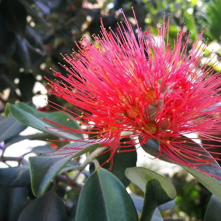 Dianostellamarina Diano Marina