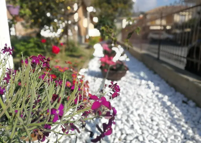 Appartement Dianostellamarina