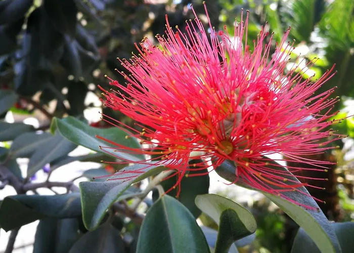 Dianostellamarina Diano Marina